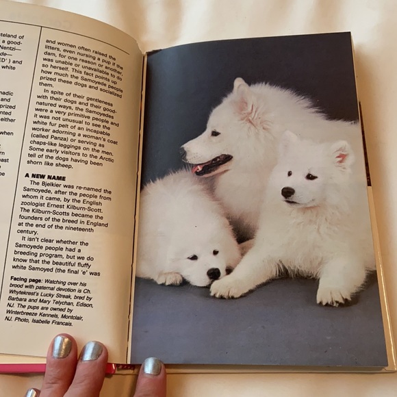 🛍 SAMOYEDS Vintage 1990 Pet Dog Puppy Care Book by Joyce Reynaud • Samoyed - Picture 8 of 11